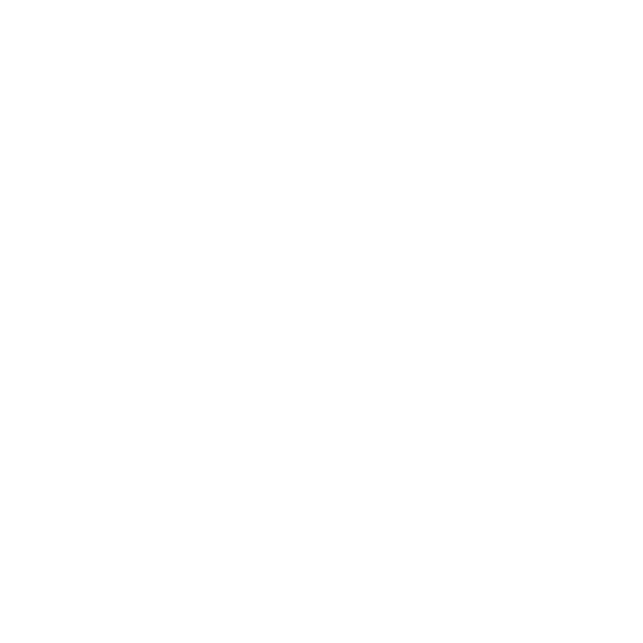 Alpin Group